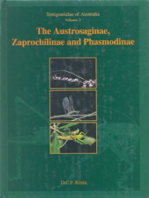 cover image of Tettigoniidae of Australia, Volume 2